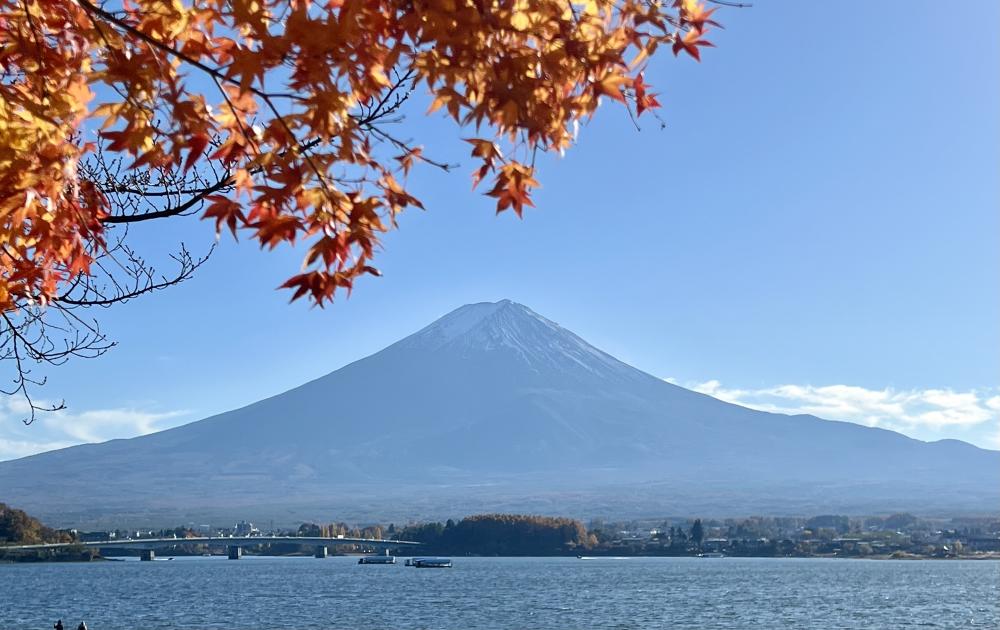 第238話 紅葉と五重塔