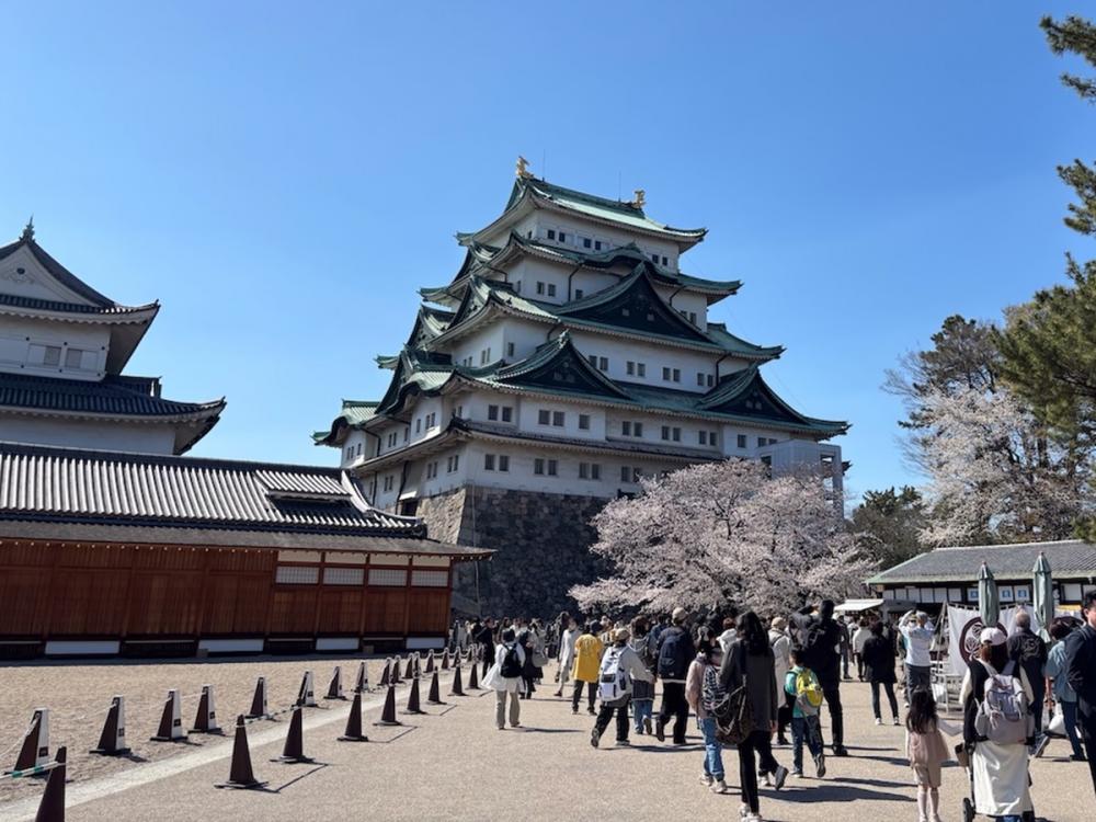行く機会がなかった場所にあえて行ってみる旅